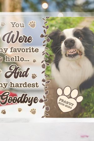 Pet Loss You Were My Favorite Hello - Personalized Acrylic Photo Plaque